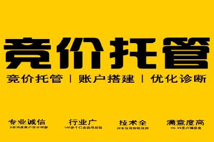 SEM竞价托管专家分享：实战案例精选